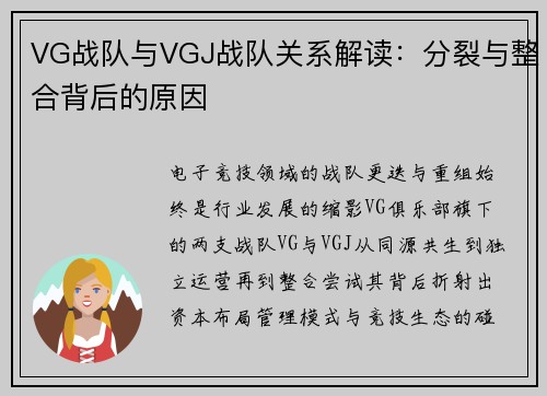 VG战队与VGJ战队关系解读：分裂与整合背后的原因